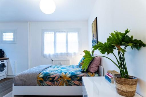 Апартаменты Le Coquet - Balcon - Proche Gare - Parking Бург-ан-Бресс Экстерьер фото